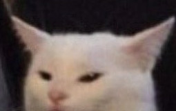 Créez votre gouvernement de miauleurs